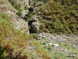 Torrente Vacco